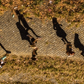 student shadows